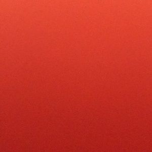 Meet your Posher, Tashima